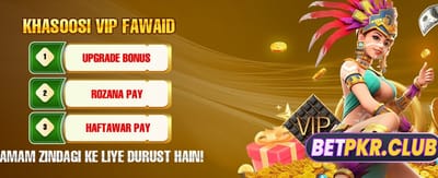 روزانہ بونس اور دلچسپ انعامات حاصل کریں banner